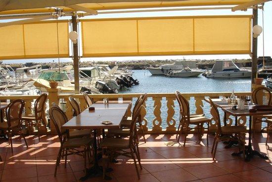 L'Hippocampe l'Estaque